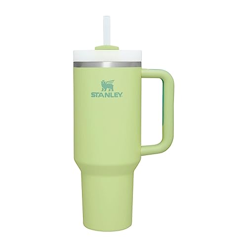 Stanley Quencher H2.0 FlowState Stainless Steel Vacuum Insulated Tumbler with Lid and Straw for Water, Iced Tea or Coffee