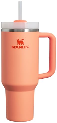 Stanley Quencher H2.0 FlowState Stainless Steel Vacuum Insulated Tumbler with Lid and Straw for Water, Iced Tea or Coffee