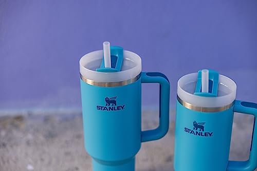 Stanley Quencher H2.0 FlowState Stainless Steel Vacuum Insulated Tumbler with Lid and Straw for Water, Iced Tea or Coffee