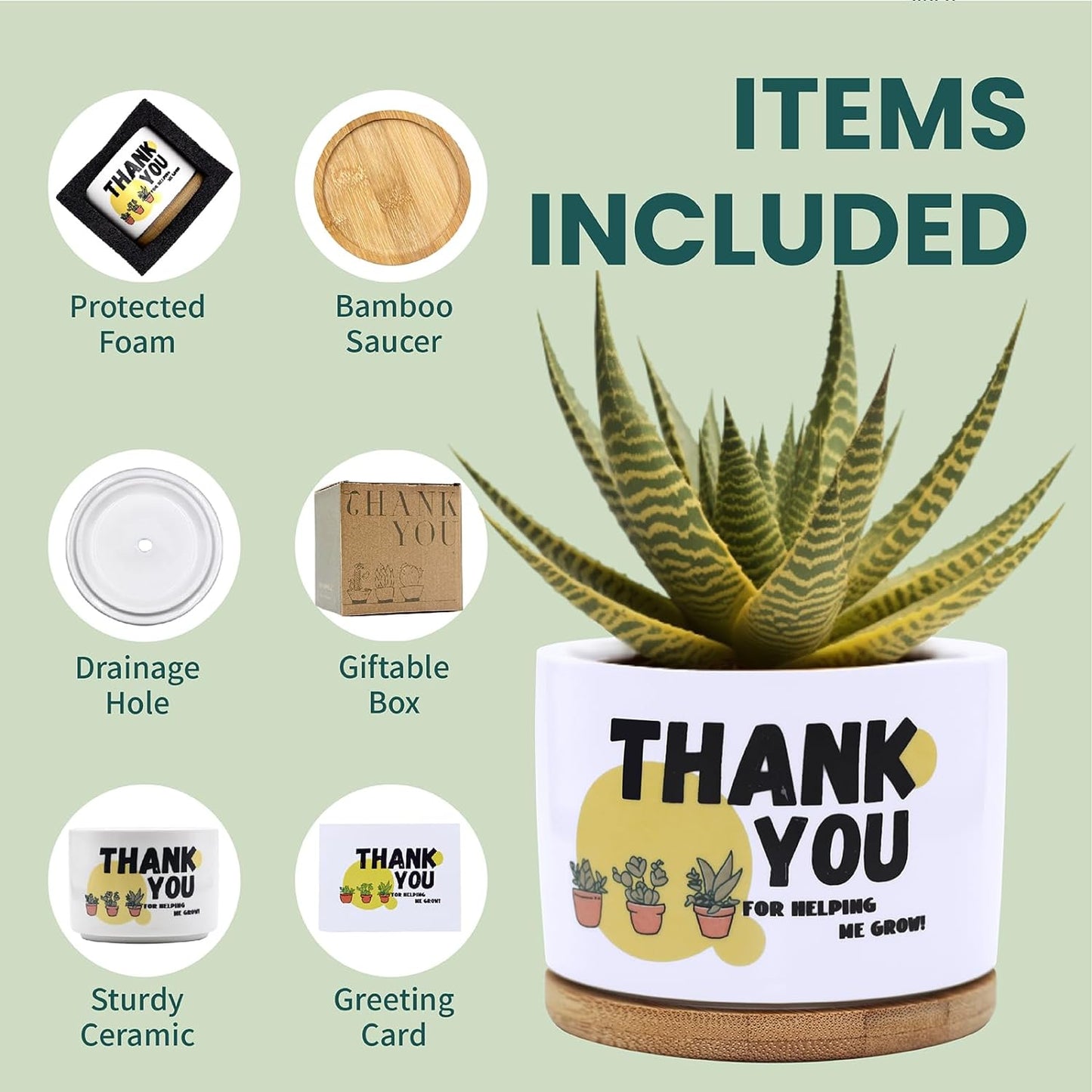 WIDITACE Teacher Appreciation Gifts for Women Men, Thank You Gift for Teacher with Greeting Card, Birthday Retirement End of Year Back to School Presents for Teacher, Unique Small Succulent Pot